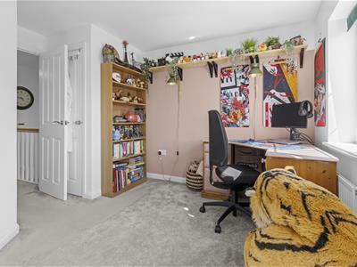 Picture 20